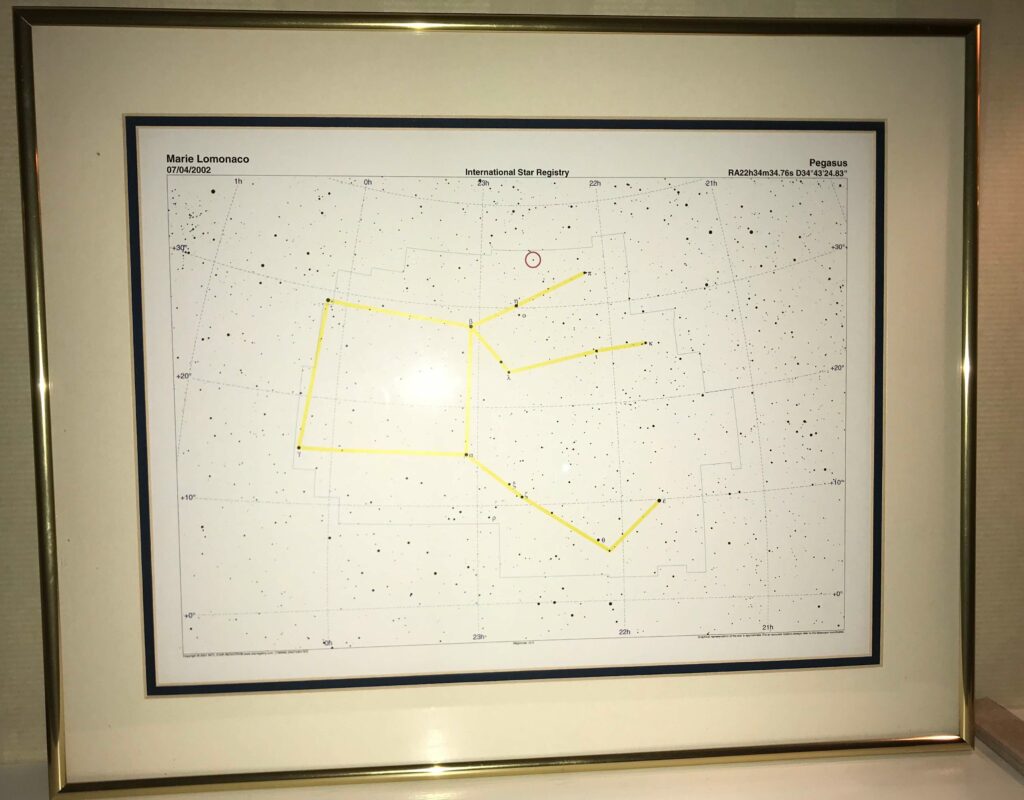 Pegasus constellation with star named after Gina's mom.