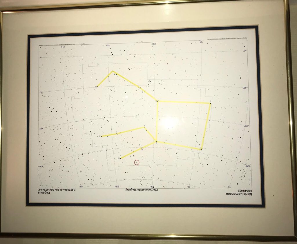 Inverted Pegasus constellation showing the GEvolution logo of Pegasus' wings.
